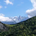 Cabrales Sol