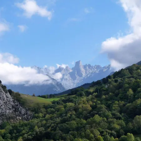 Cabrales Sol